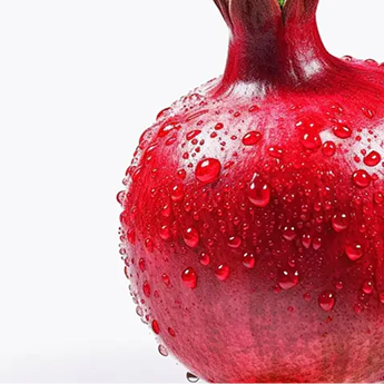 Vườn Thảo Mộc Organic  Vietnam